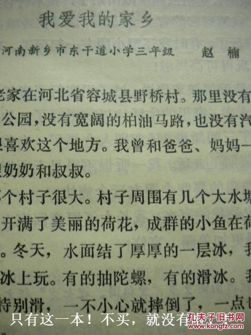 曾文心